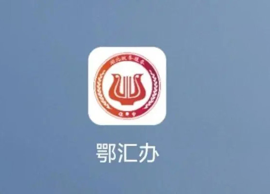 《鄂汇办》怎么查询社保缴费记录