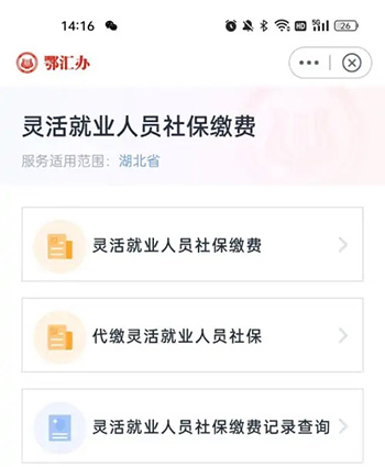 《鄂汇办》怎么查询社保缴费记录