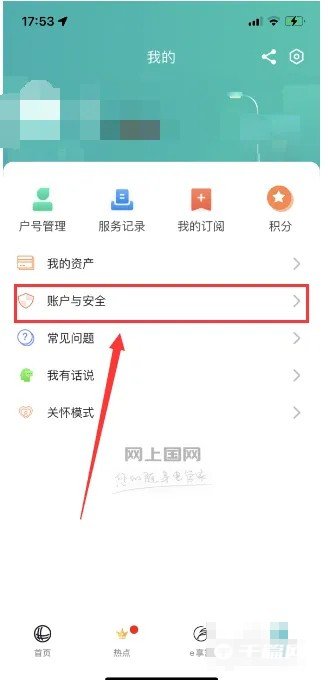 《网上国网》怎么设置密码