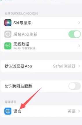 《duckduckgo》安卓设置中文的操作方法