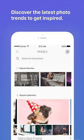 Pexels软件2